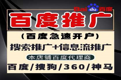 竞价广告投放技巧与案例分析